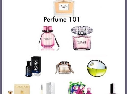many-perfumes-perfume-101_517x480 Parfum